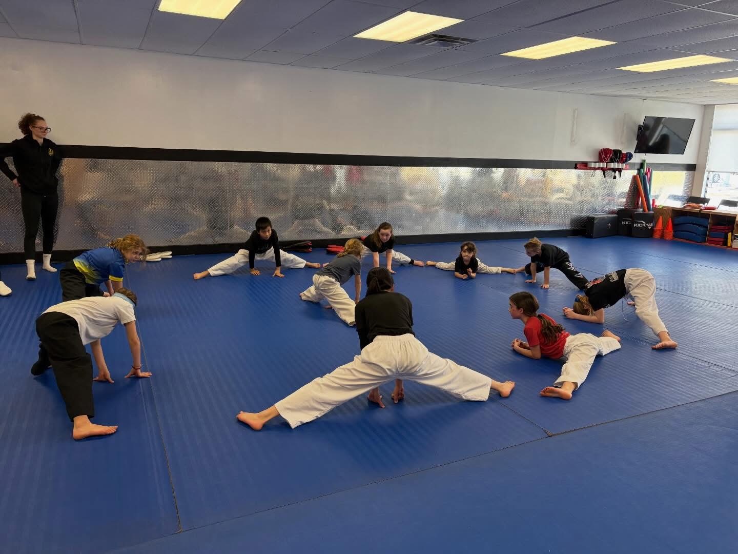 Photo of P.R.I.D.E. Taekwondo