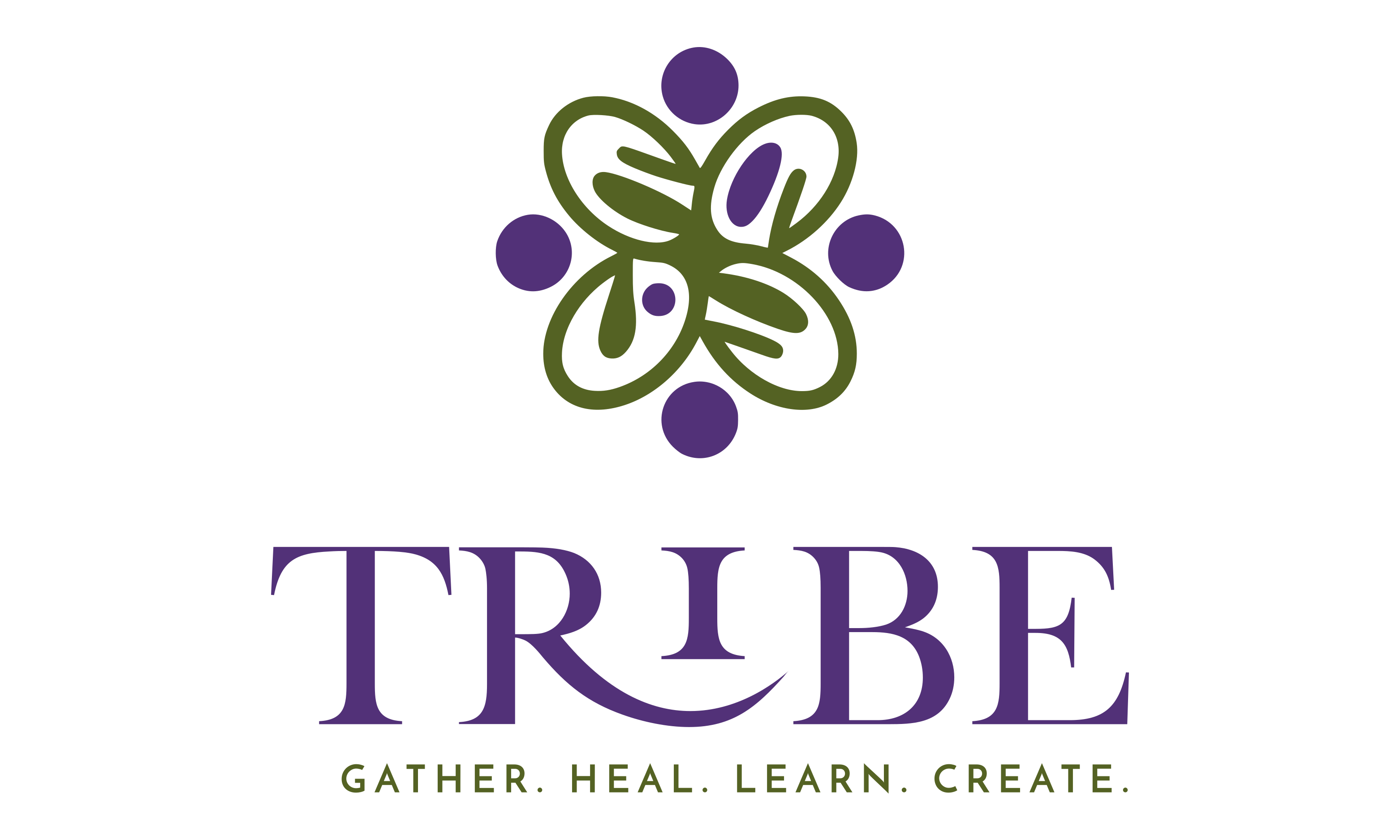 Photo of Tribe Wellness Studio
