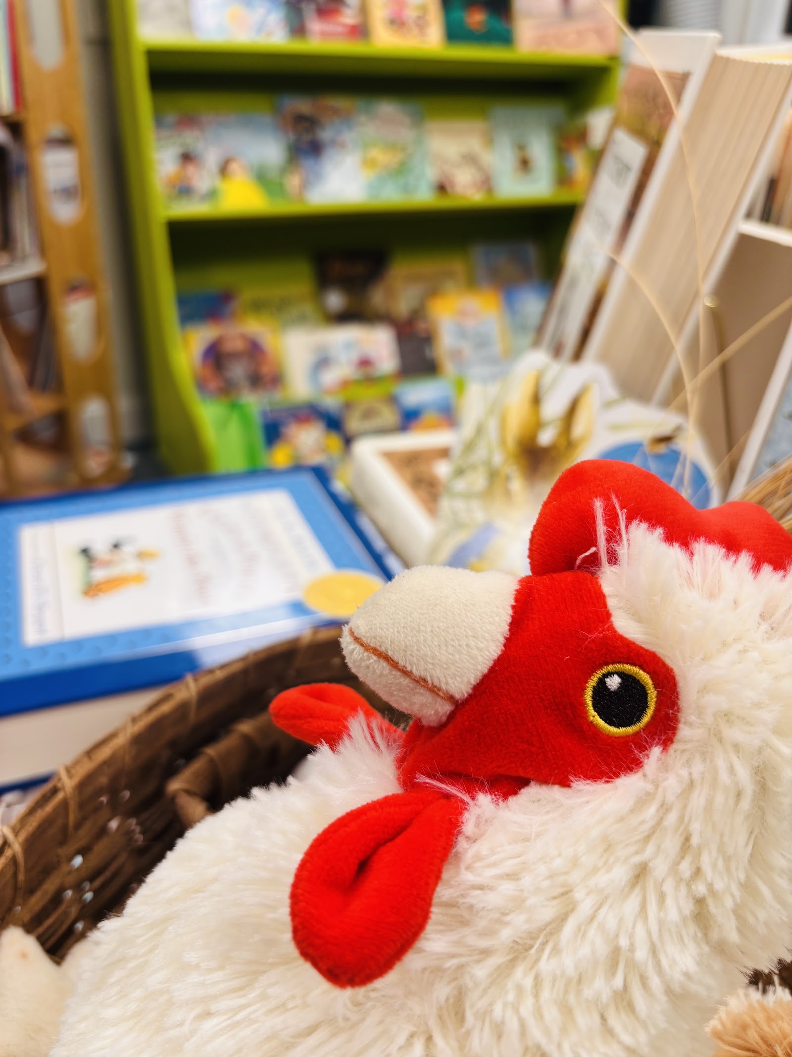 Photo of Crow City Books
