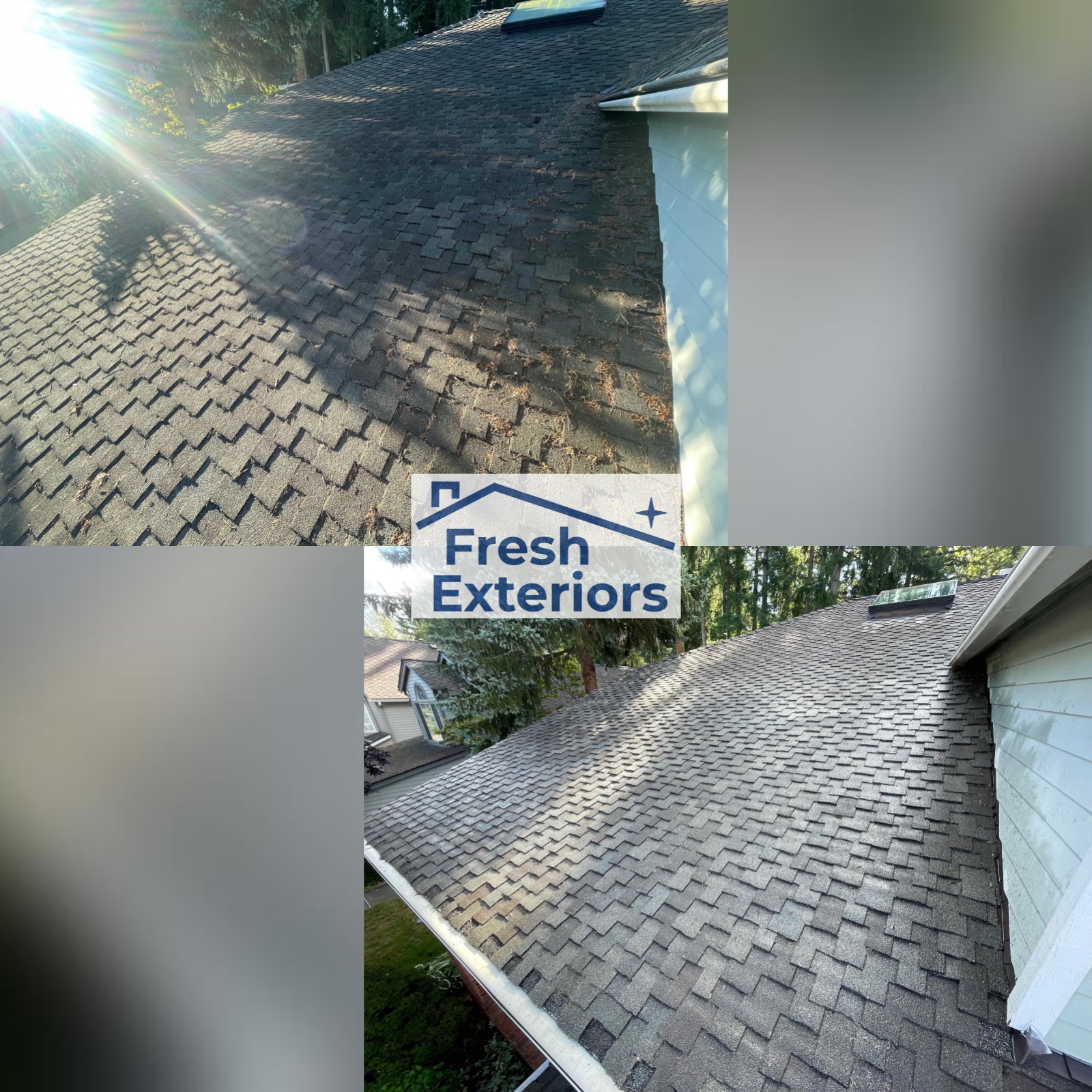 Fresh Exteriors photo 3