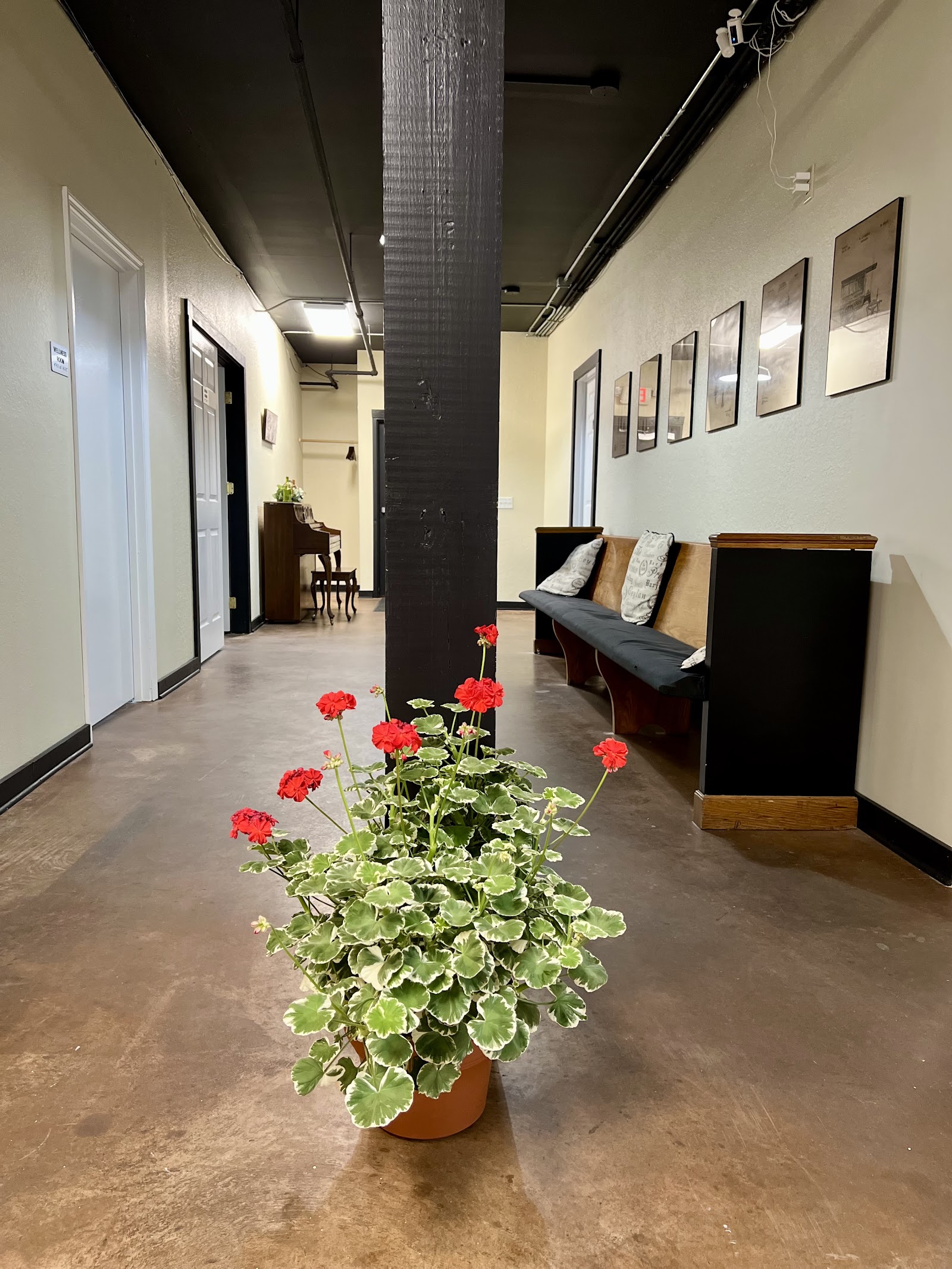 Photo of Mountain Roots Direct Primary Care
