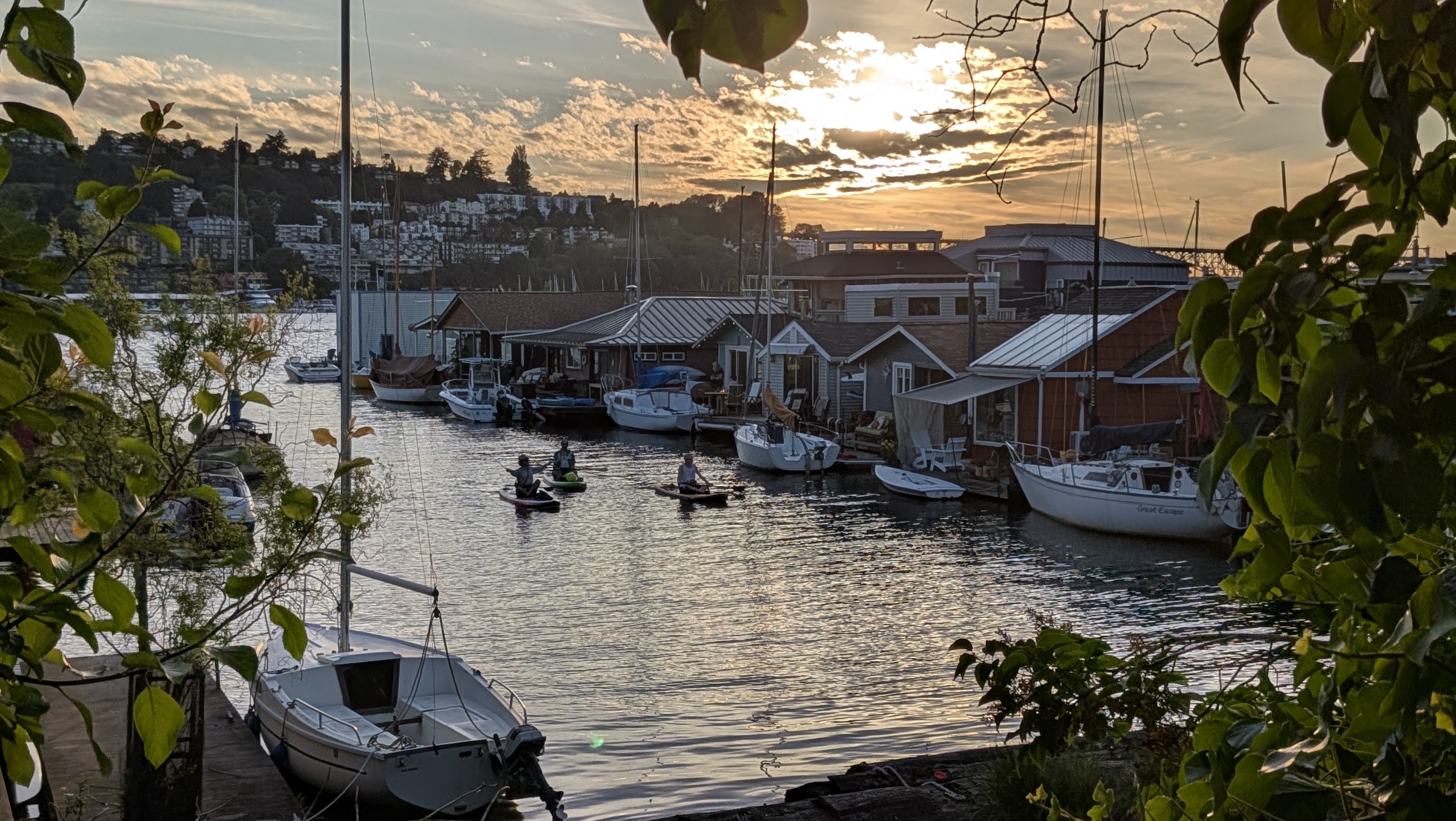 Photo of Floating Homes Association