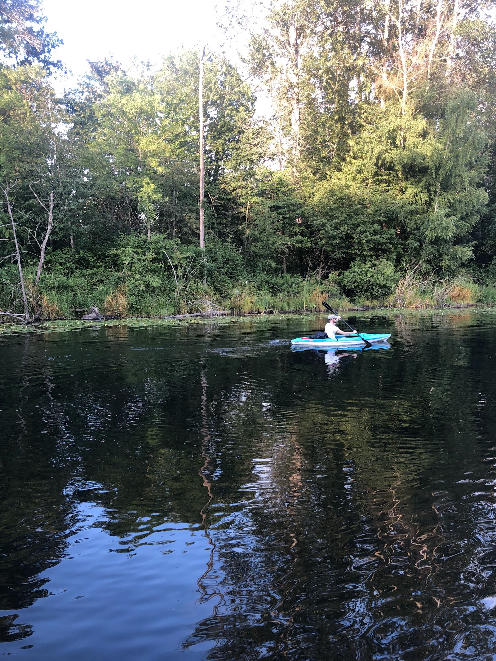 Photo of Sammamish Rowing Association