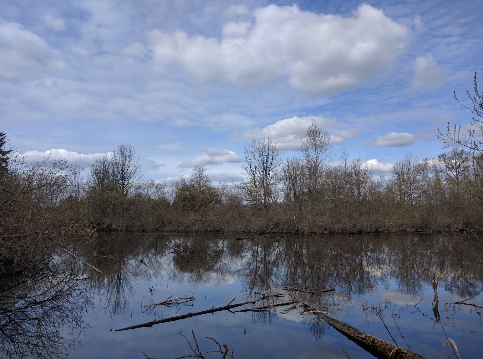 Photo of Sammamish Rowing Association