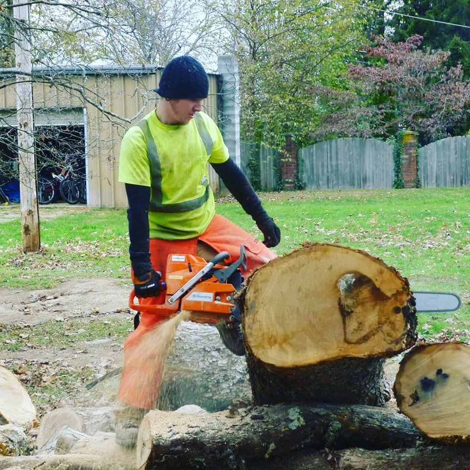 Photo of Bigg Wood Tree Service LLC