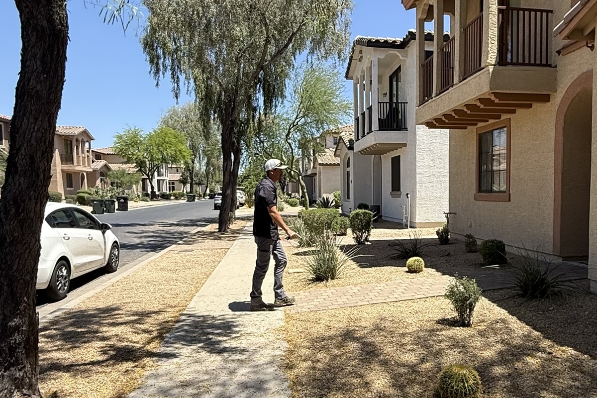 Photo of Sage Solutions Pest Control